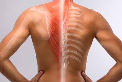 La importancia de la nutrición y la hidratación para mantener una columna vertebral sana